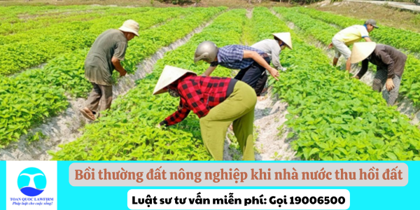 Bồi thường đất nông nghiệp khi nhà nước thu hồi đất