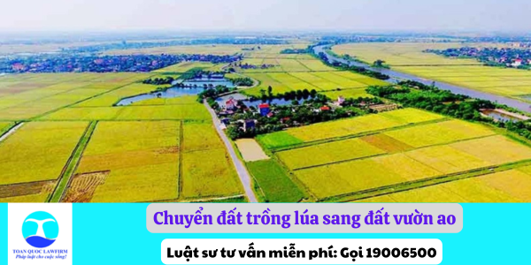 Chuyển đất trồng lúa sang đất vườn ao có được không?