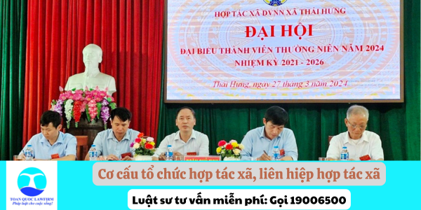 Cơ cấu tổ chức hợp tác xã, liên hiệp hợp tác xã