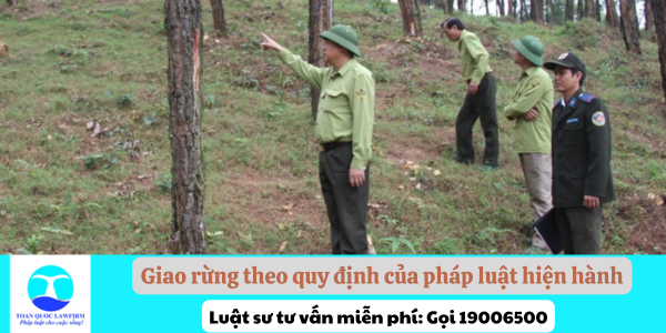 Giao rừng theo quy định của pháp luật hiện hành