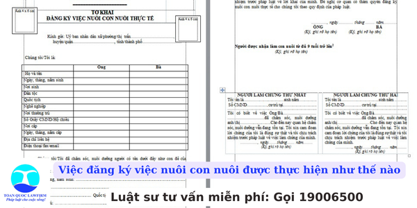 Việc đăng ký việc nuôi con nuôi được thực hiện như thế nào