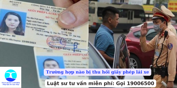 Trường hợp nào bị thu hồi giấy phép lái xe