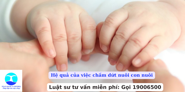 Hệ quả của việc chấm dứt nuôi con nuôi