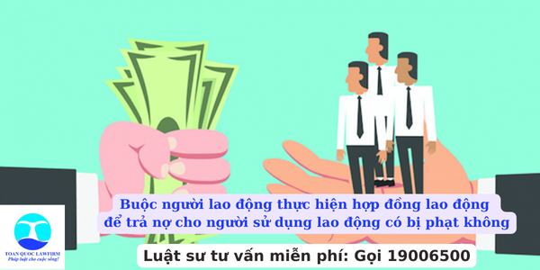 Buộc người lao động thực hiện hợp đồng lao động để trả nợ cho người sử dụng lao động có bị phạt không