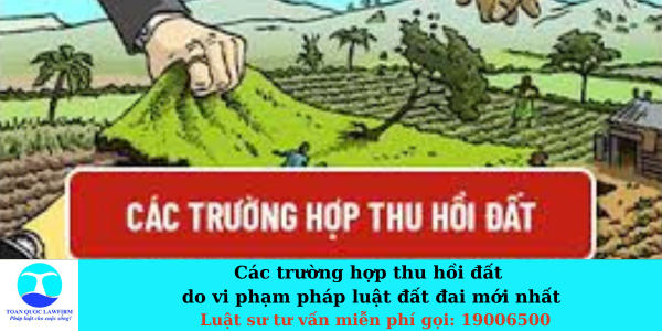 Các trường hợp thu hồi đất do vi phạm pháp luật đất đai mới nhất