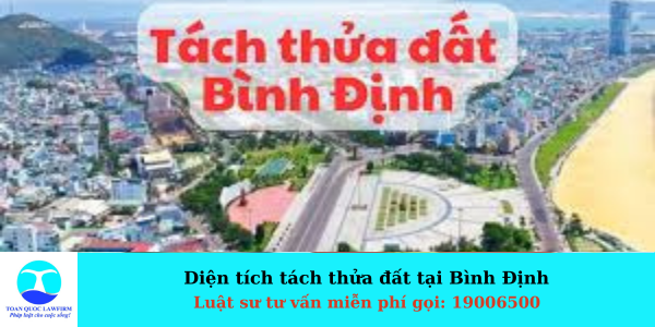 DIỆN TÍCH TÁCH THỬA ĐẤT TẠI BÌNH ĐỊNH 