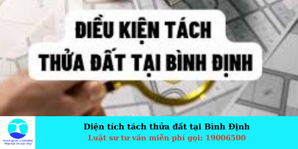 DIỆN TÍCH TÁCH THỬA ĐẤT TẠI BÌNH ĐỊNH 