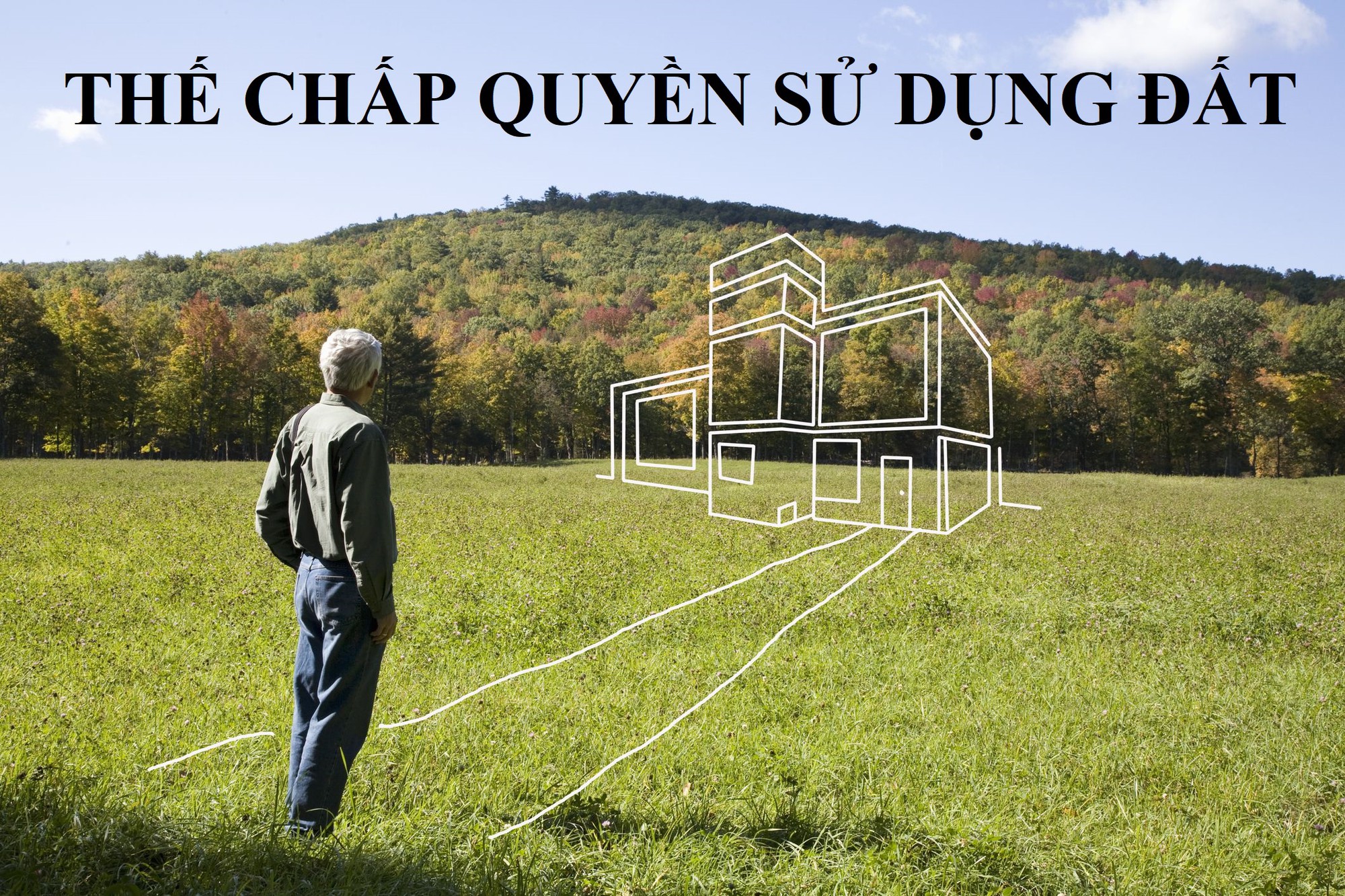 hợp đồng thế chấp quyền sử dụng đất