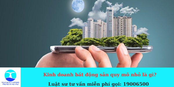 kinh doanh bất động sản quy mô nhỏ là gì