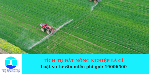 quy định về tích tụ đất nông nghiệp năm 2024