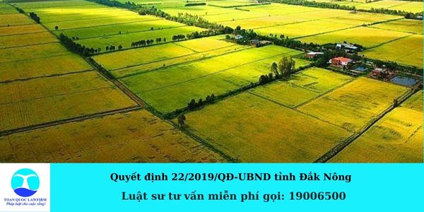 Quyết định 22 2019 QĐ UBND tỉnh Đắk Nông về hạn mức giao đất