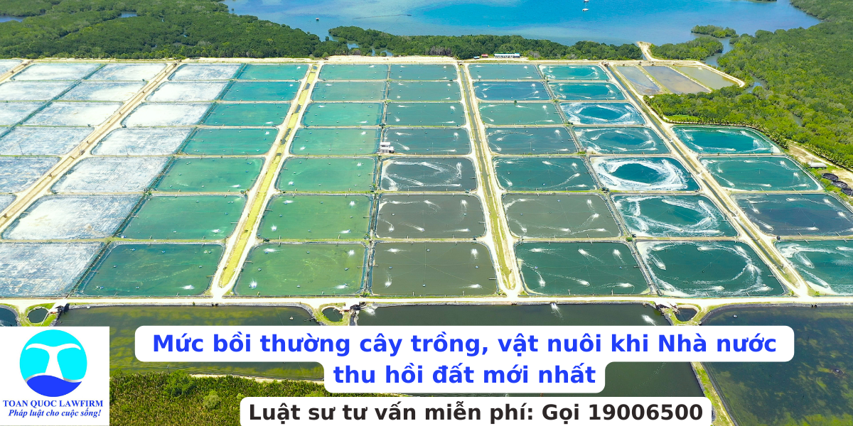 Mức bồi thường cây trồng, vật nuôi khi Nhà nước thu hồi đất