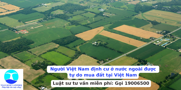 Người Việt Nam định cư ở nước ngoài được tự do mua đất tại Việt Nam