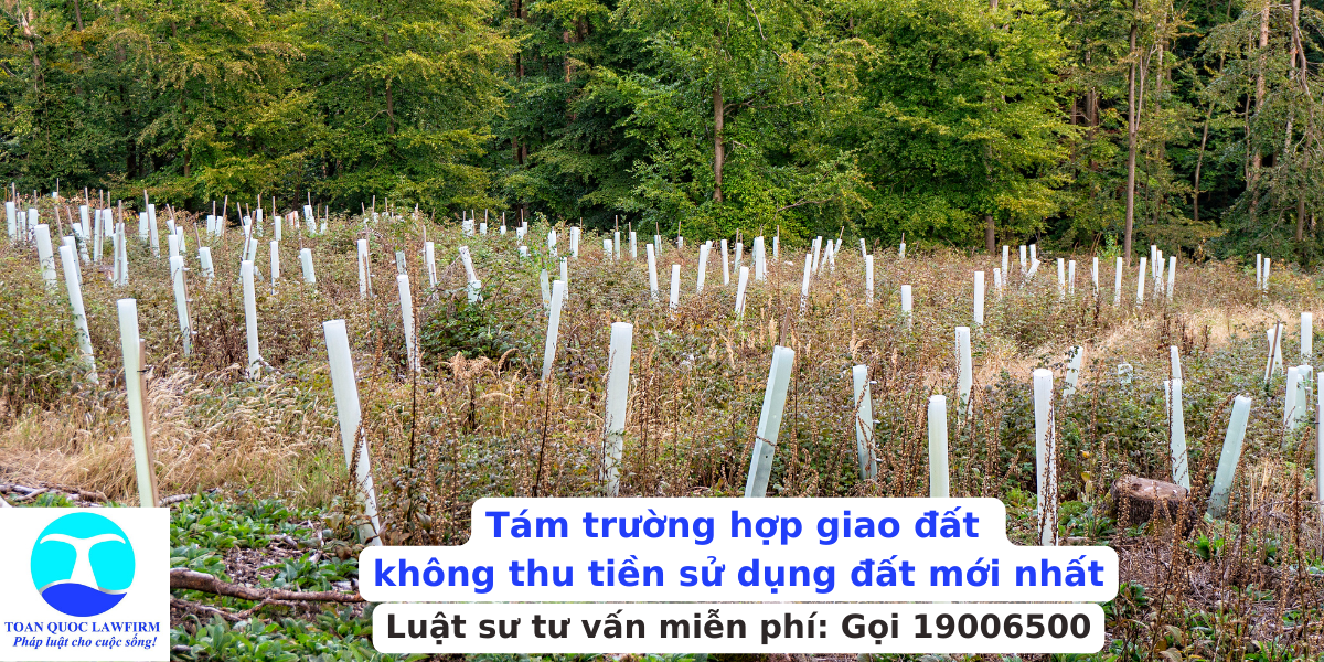Tám trường hợp giao đất không thu tiền sử dụng đất theo Luật Đất đai năm 2024