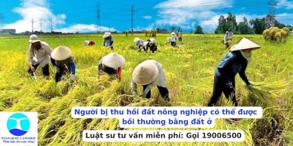 Người bị thu hồi đất nông nghiệp có thể được bồi thường bằng đất ở