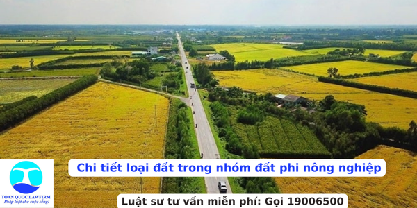 Chi tiết loại đất trong nhóm đất phi nông nghiệp