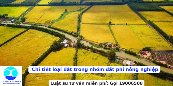 Chi tiết loại đất trong nhóm đất phi nông nghiệp