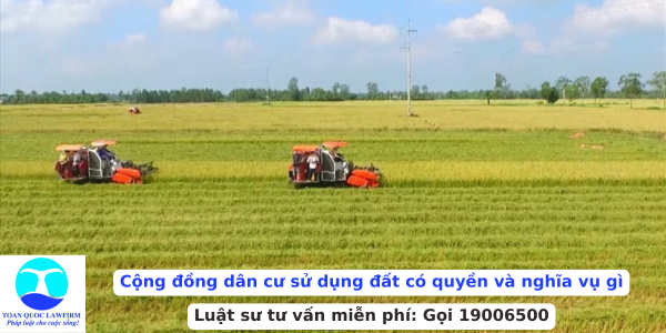 Cộng đồng dân cư sử dụng đất có quyền và nghĩa vụ gì