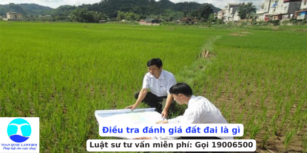 Điều tra đánh giá đất đai là gì