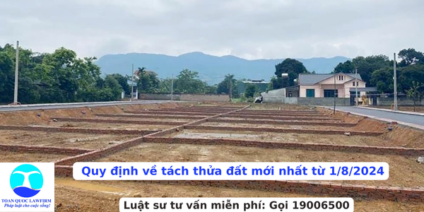 Quy định về tách thửa đất mới nhất từ 1/8/2024