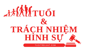 Người 15 tuổi phạm tội trộm cắp tài sản có bị truy cứu trách nhiệm hình sự