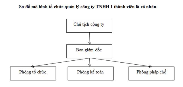 Cơ cấu tổ chức quản lý trong công ty TNHH một thành viên