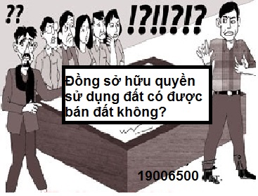 Đồng sở hữu quyền sử dụng đất có được bán đất không?