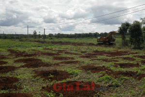 tặng cho đất của hộ gia đình