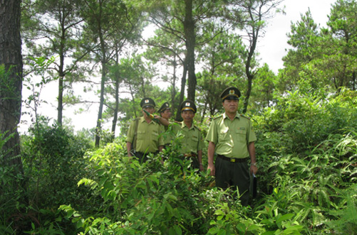 Trách nhiệm bảo vệ rừng của cá nhân, tổ chức