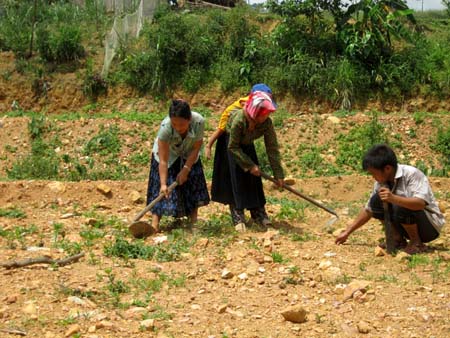 Đất giao cho đồng bào dân tộc thiểu số sử dụng bao lâu thì được bán?