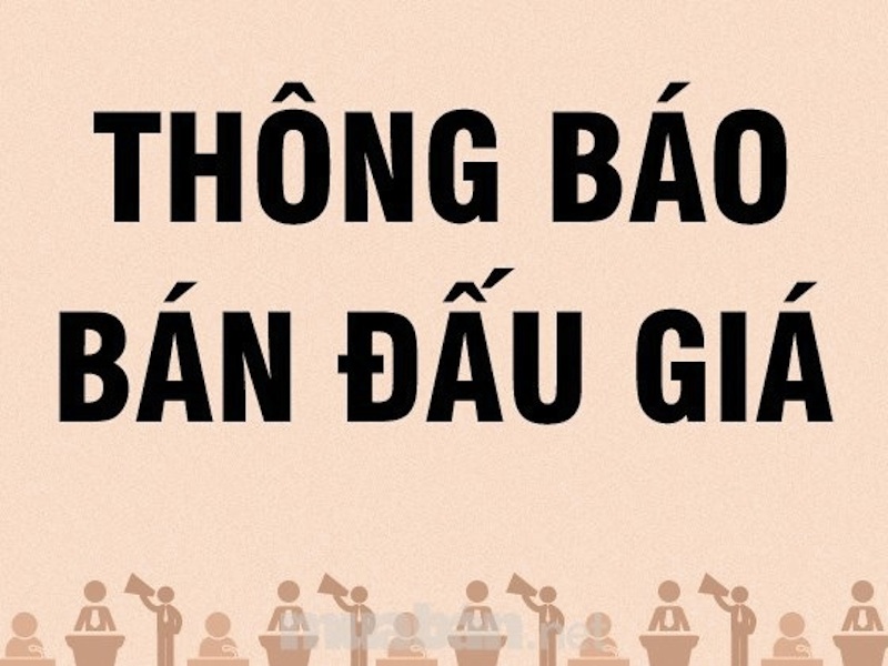 Tải mẫu báo cáo về tình hình tổ chức và hoạt động đấu giá tài sản