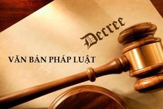Quyết định 05/2013/QĐ-TTg quy định việc công dân Việt Nam ra nước ngoài học tập