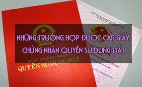 Trường hợp sử dụng đất được cấp giấy chứng nhận quyền sử dụng đất