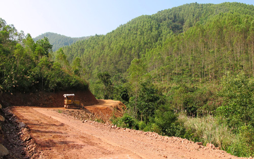 Chuyển nhượng quyền sử dụng đất là rừng sản xuất