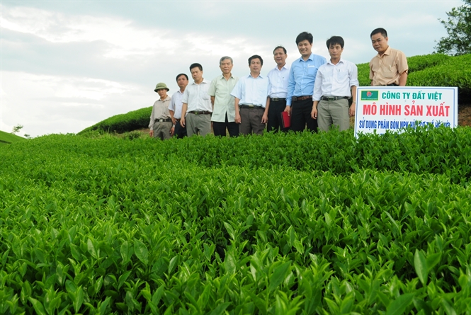 Tải mẫu tài liệu kỹ thuật đối với phân bón đăng ký khảo nghiệm