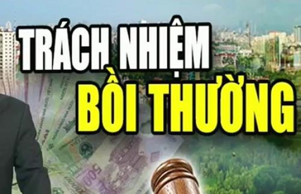 Năng lực chịu trách nhiệm bồi thường thiệt hại của cá nhân theo quy định của BLDS