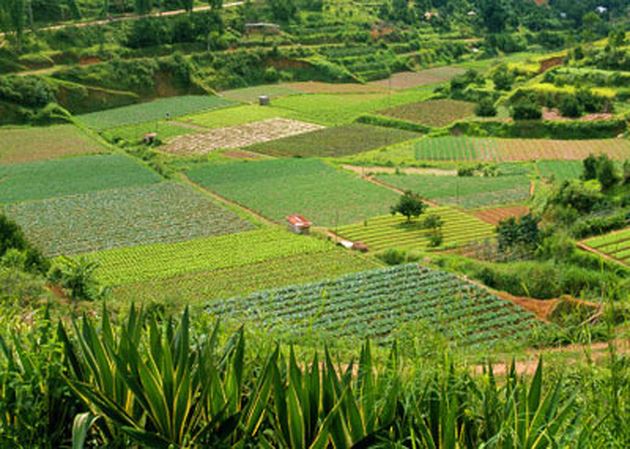 Mức bồi thường chi phí đầu tư vào đất còn lại tại Vũng Tàu khi Nhà nước thu hồi đất