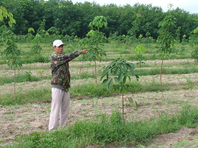 Một số khoản hỗ trợ tại Bình Phước khi Nhà nước thu hồi đất