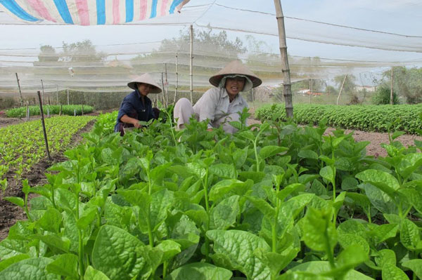 Hỗ trợ ổn định đời sống sản xuất tại Nghệ An khi Nhà nước thu hồi đất