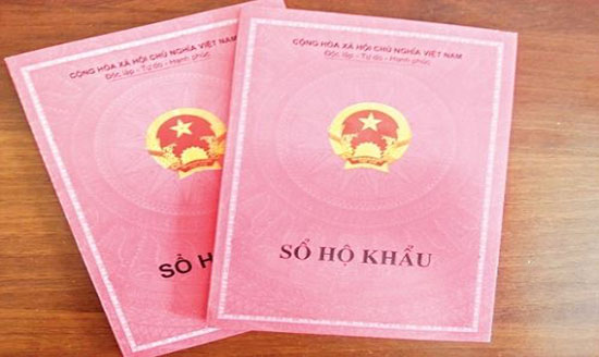 Nhập khẩu cho con mới sinh theo mẹ theo quy định