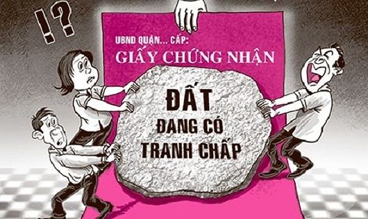 Thủ tục giải quyết tranh chấp đất rừng bị lấn chiếm