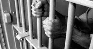 Tạm giam được áp dụng cho những loại tội phạm nào 2020