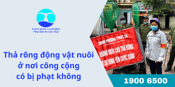 Thả rông động vật nuôi ở nơi công cộng có bị phạt không